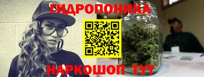 шишки Нарткала