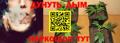 шишки Нарткала