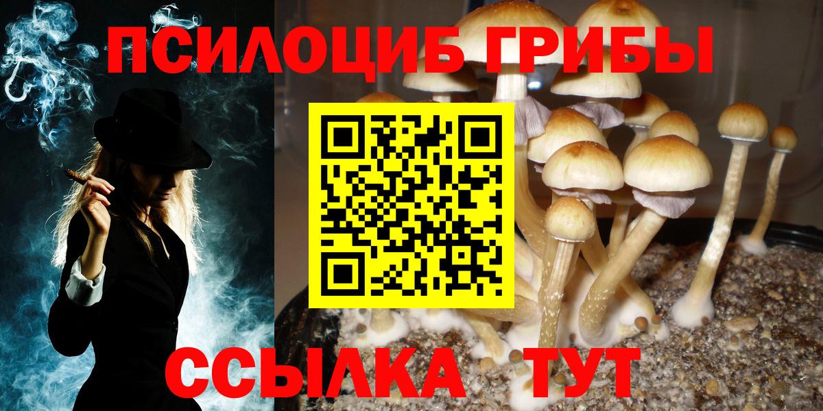 Псилоцибиновые грибы прущие грибы Пыть-Ях