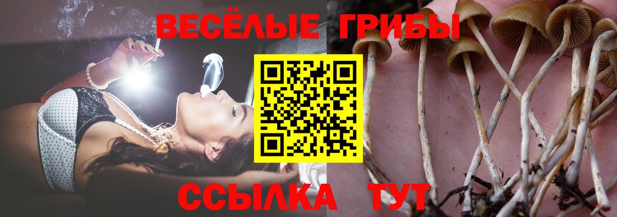 Пыть-Ях  Псилоцибиновые грибы Psilocybe  Вход с VPN 